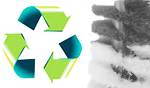 reciclar